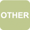 The word "OTHER" written in white on a light green background square.
